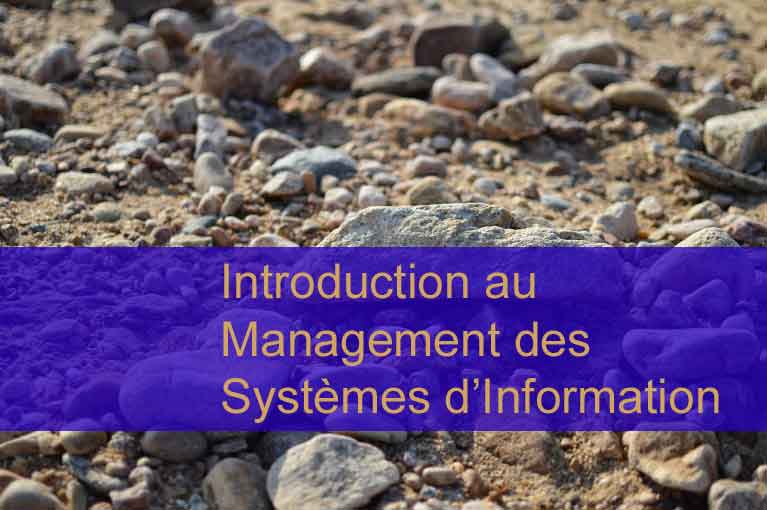 Introduction au Management des Systèmes d'Information